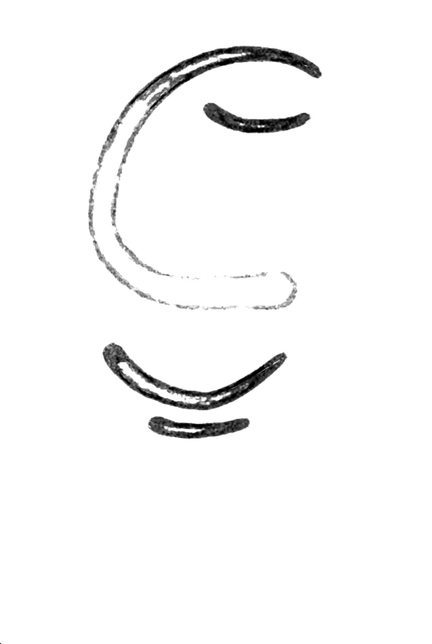 A quiet, smiling face